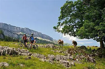 Alpenhotel - Ein Rovell Hotel